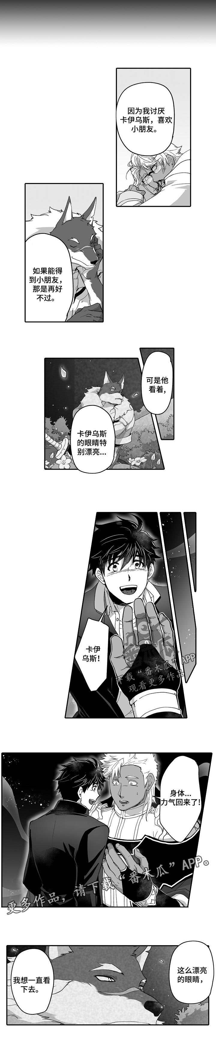 5.jpg