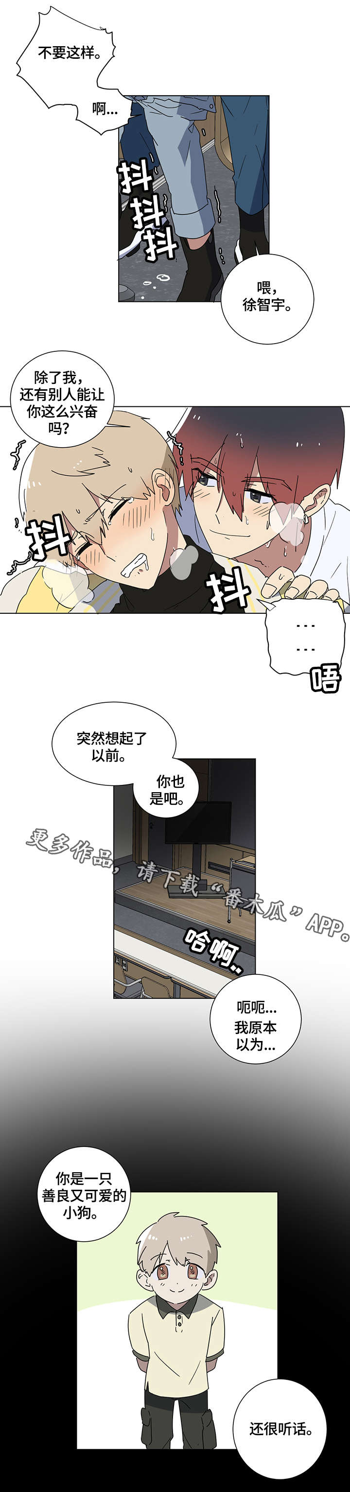 5.jpg