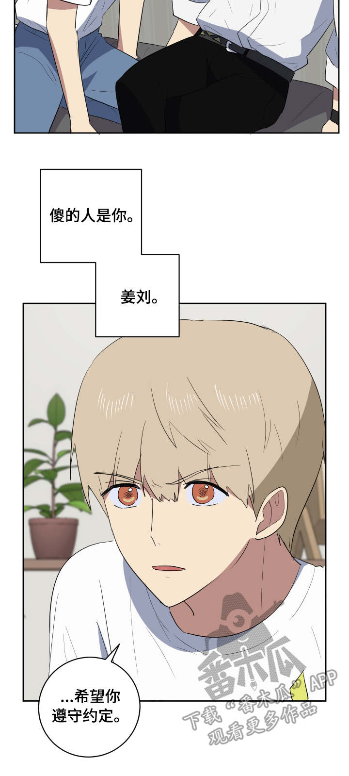 13.jpg