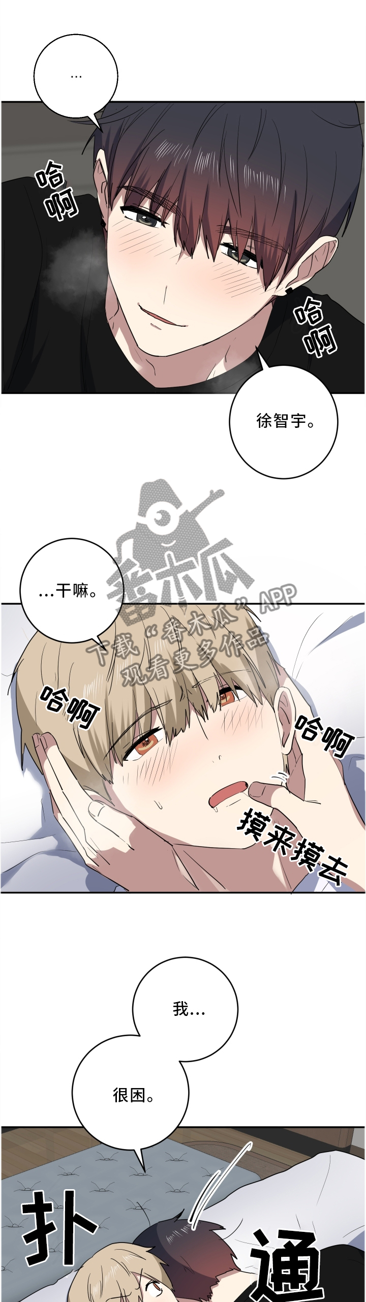 2.jpg