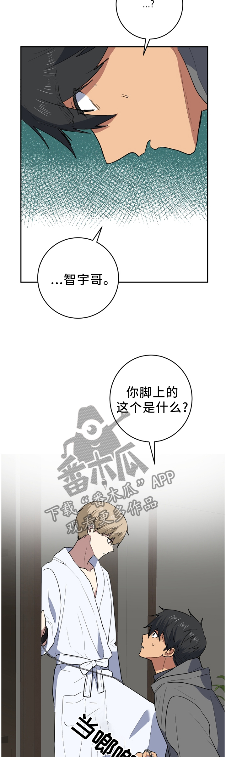7.jpg