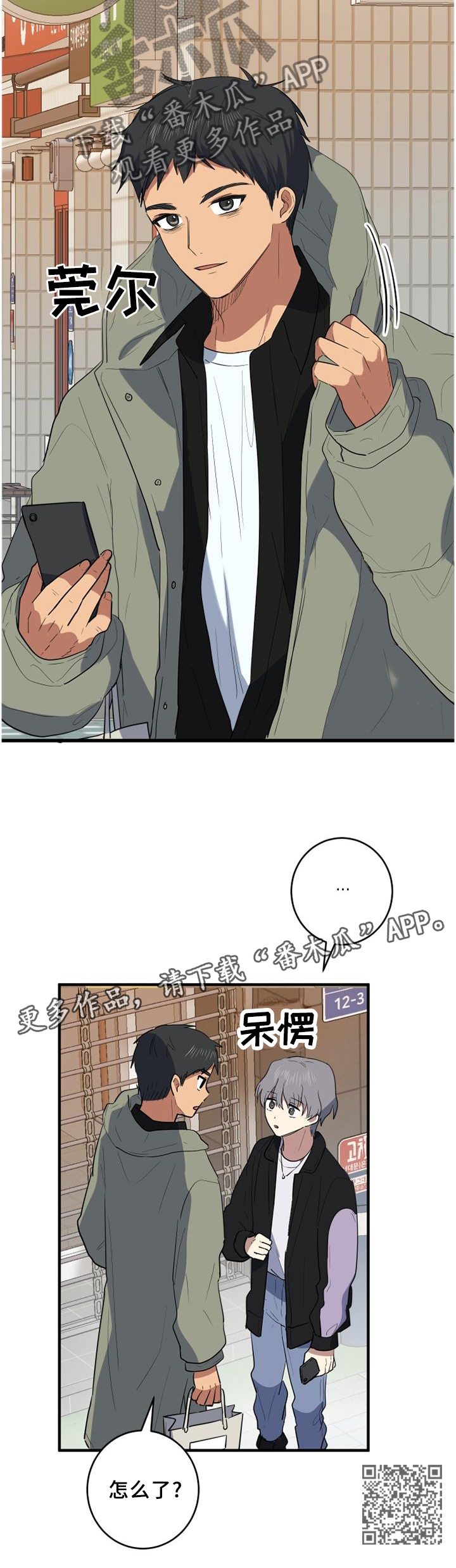 12.jpg