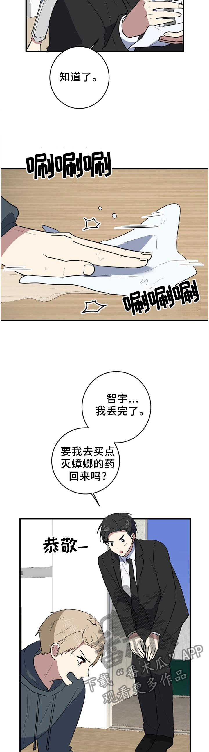 8.jpg