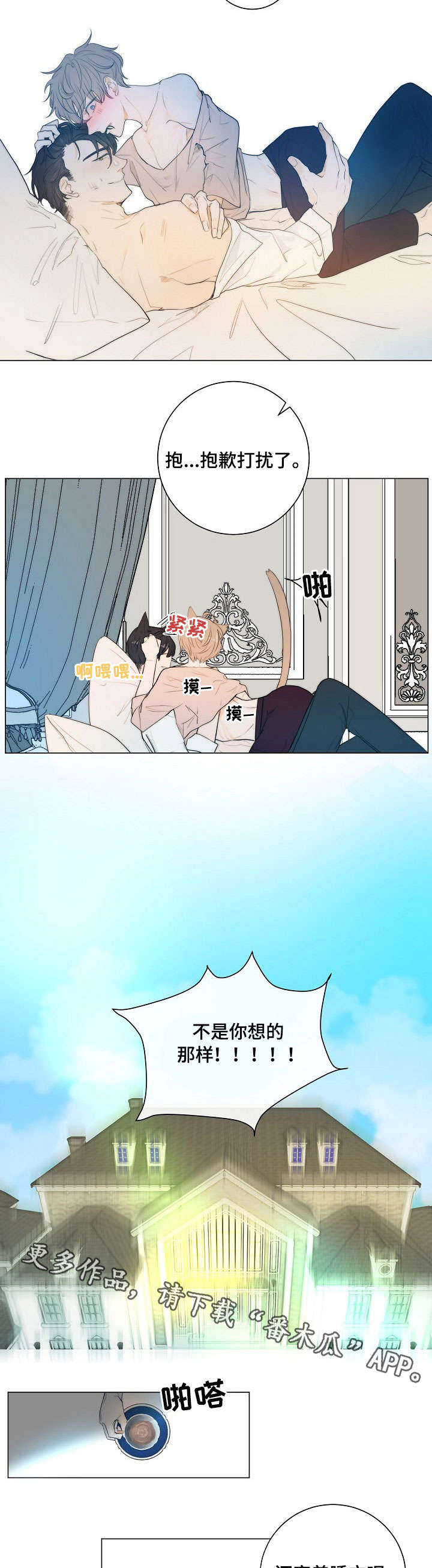 5.jpg
