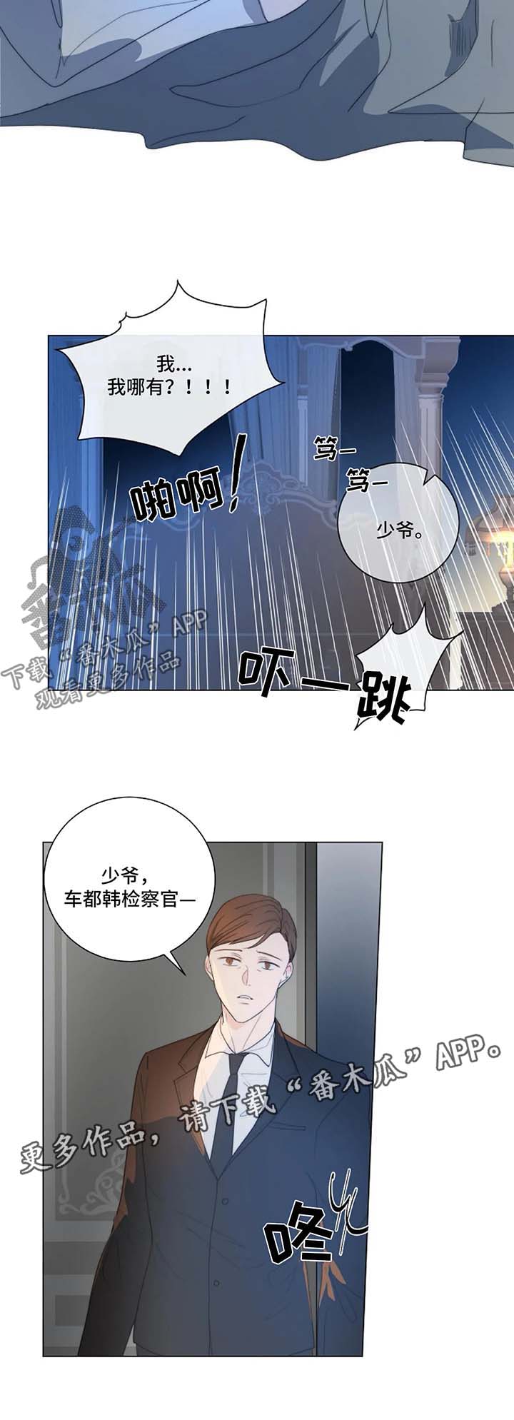 13.jpg