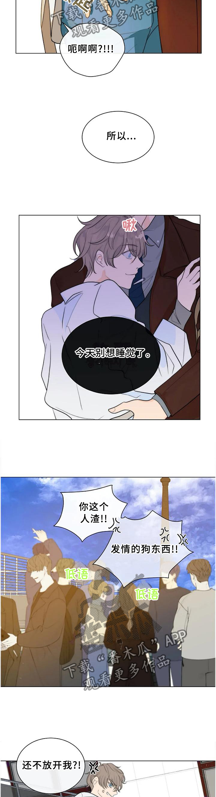 13.jpg