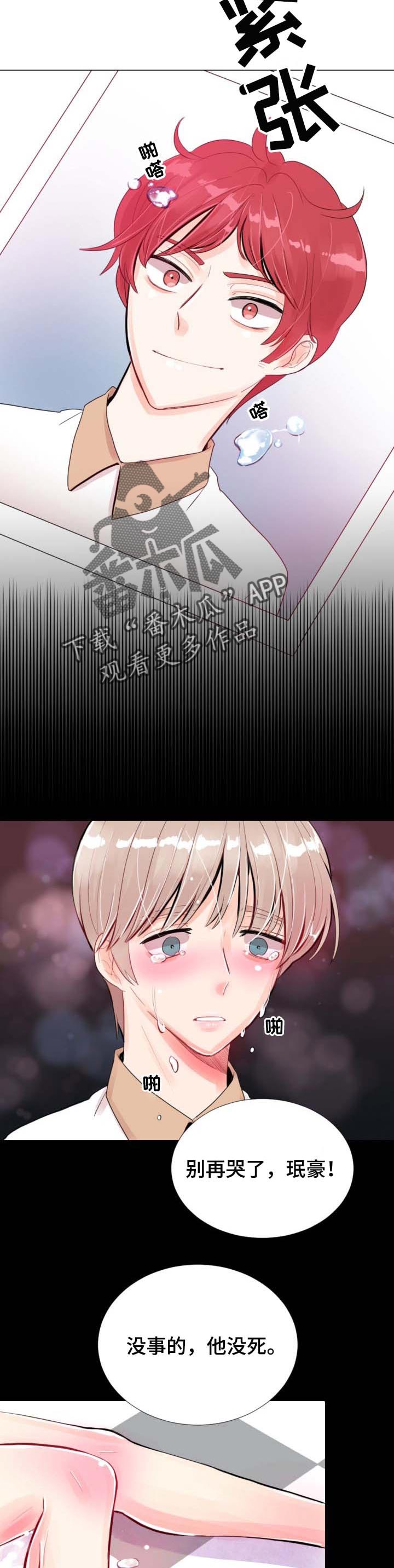 12.jpg
