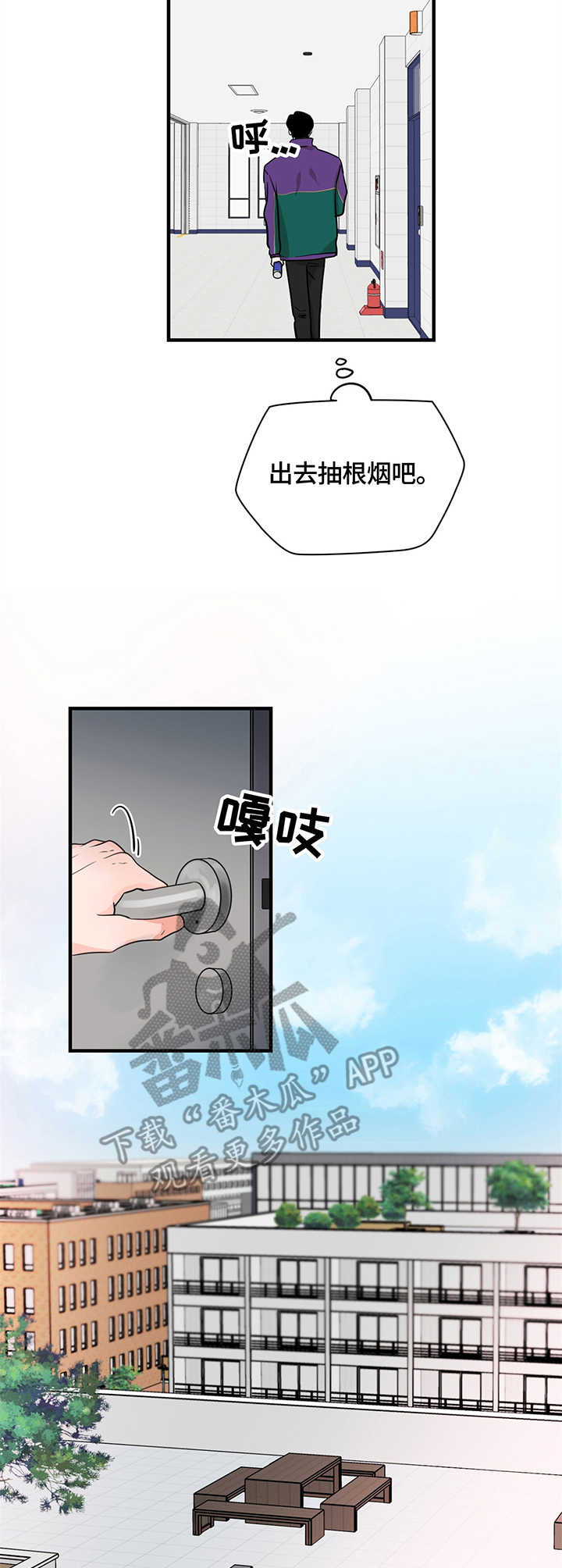 12.jpg