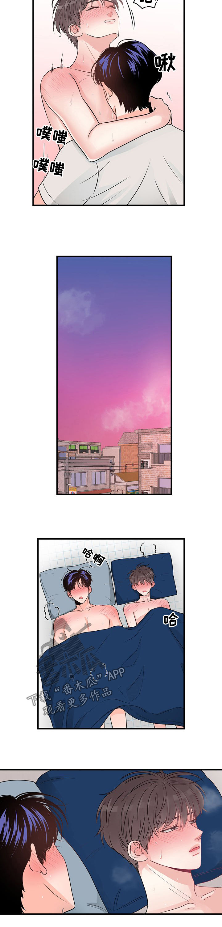 8.jpg