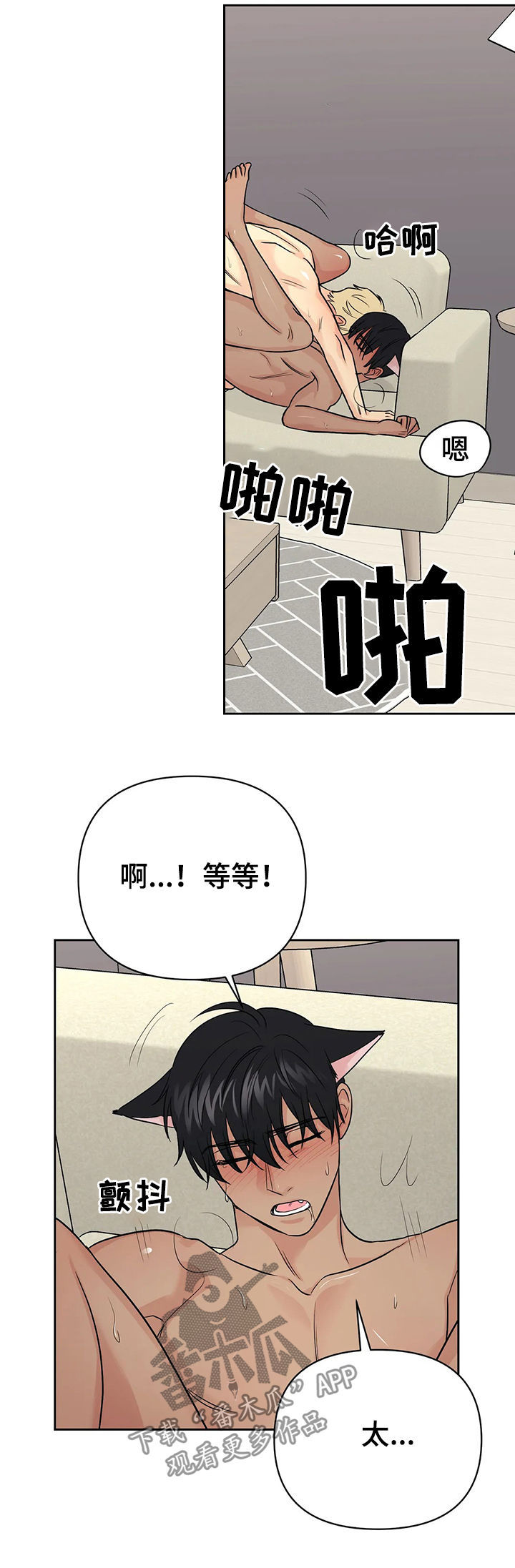 13.jpg