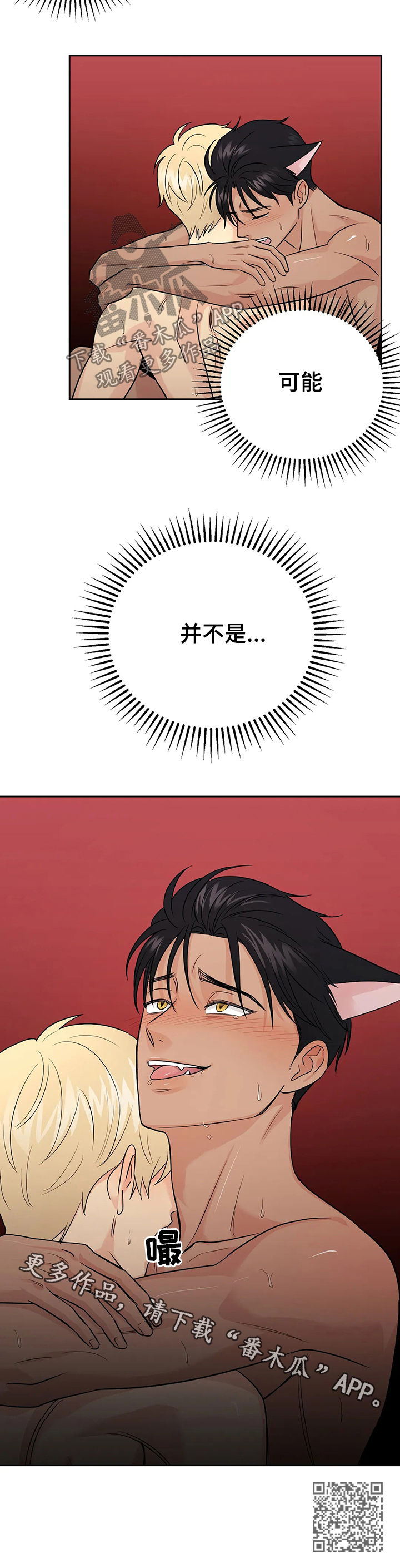 12.jpg