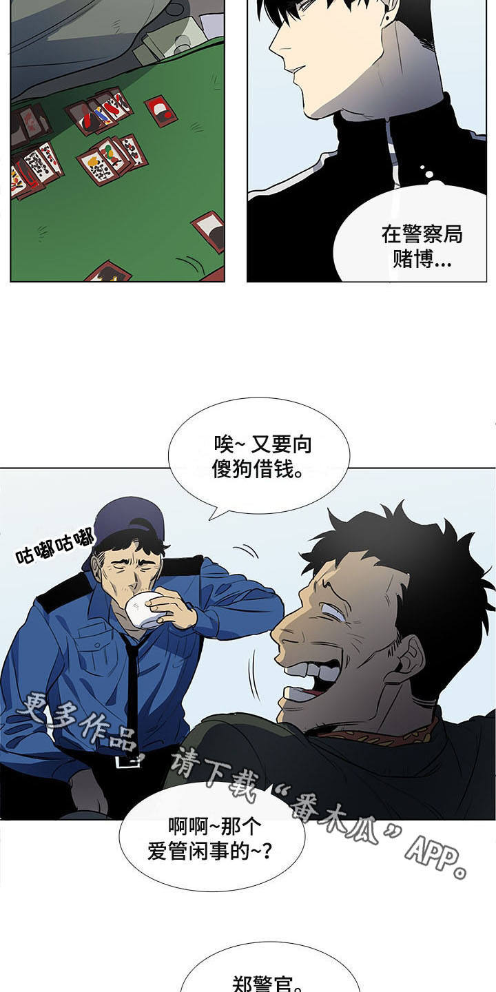 9.jpg