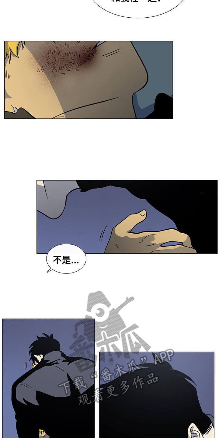 11.jpg
