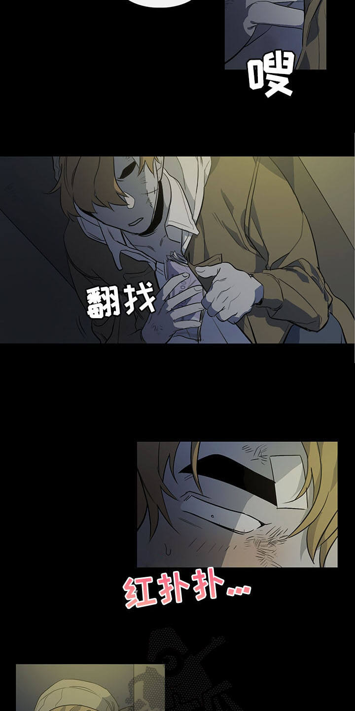 5.jpg