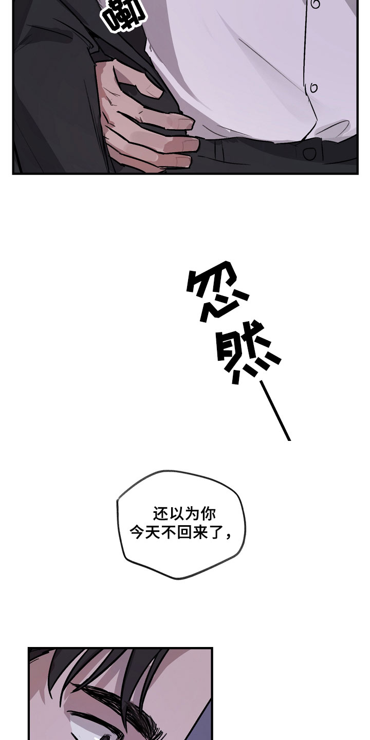 15.jpg