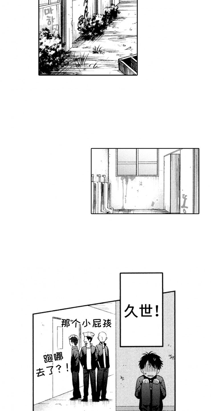 17.jpg