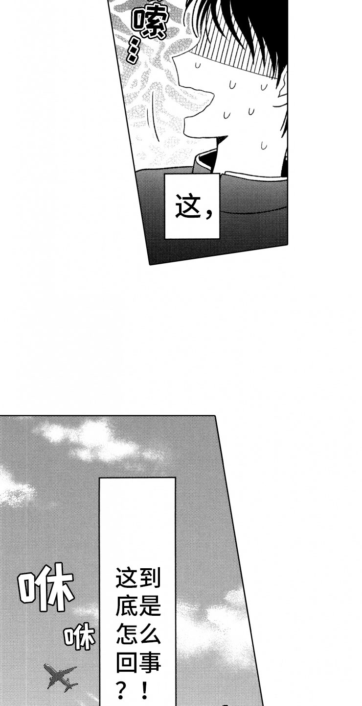 13.jpg