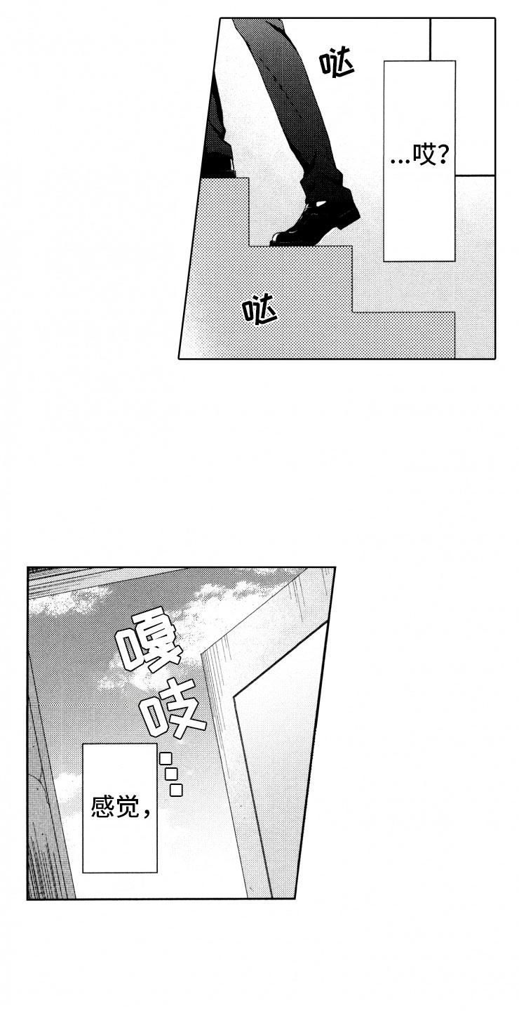 11.jpg