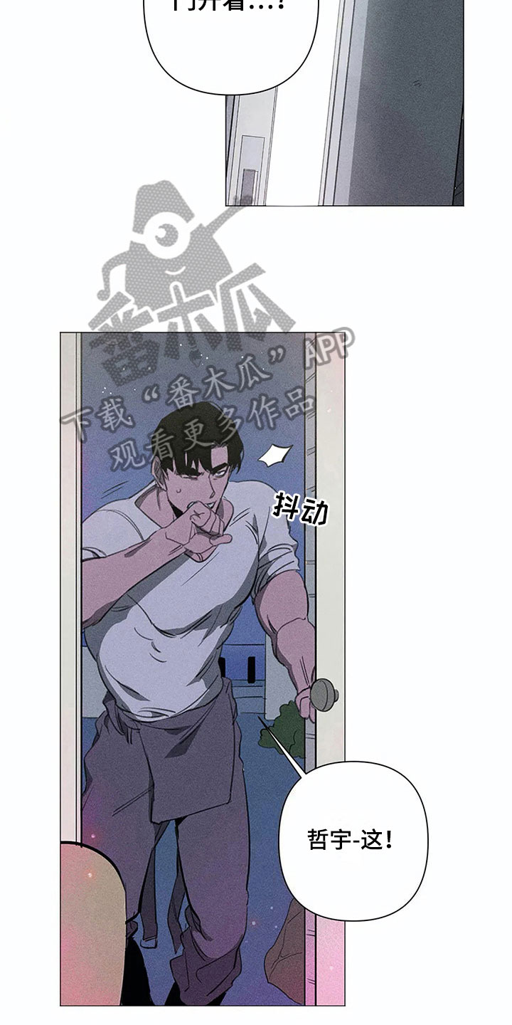 12.jpg