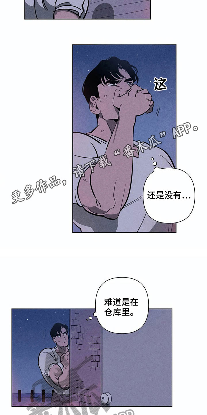 11.jpg