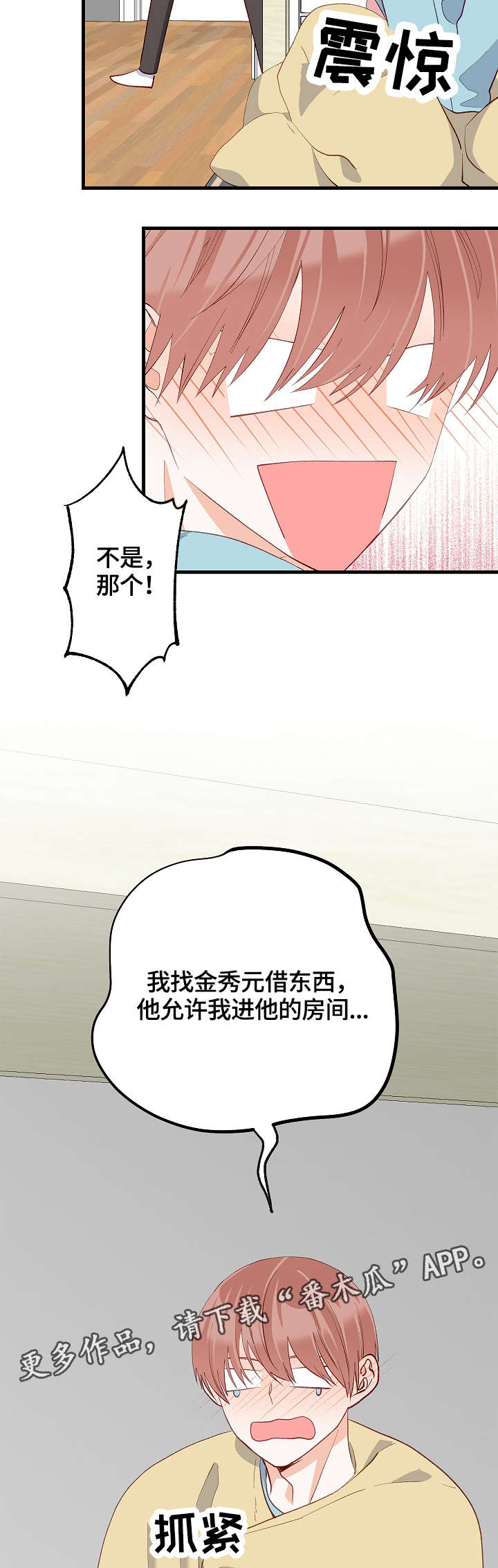 11.jpg