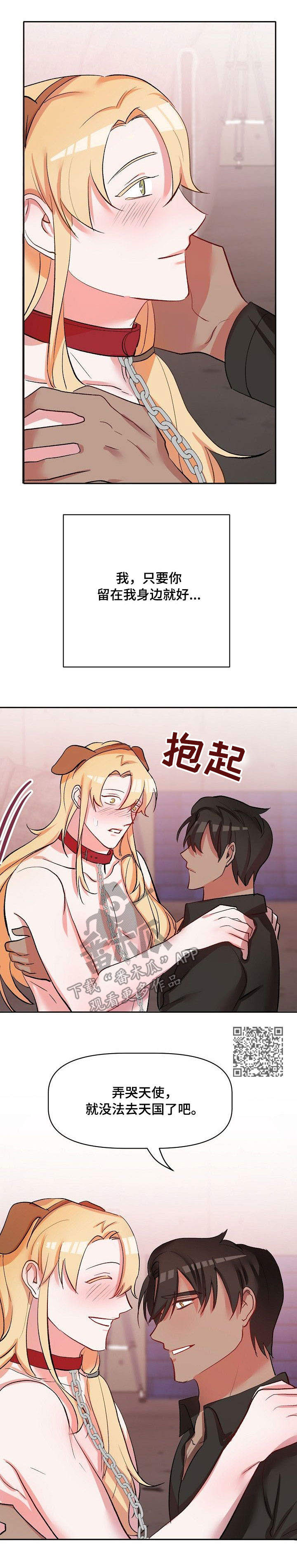 5.jpg