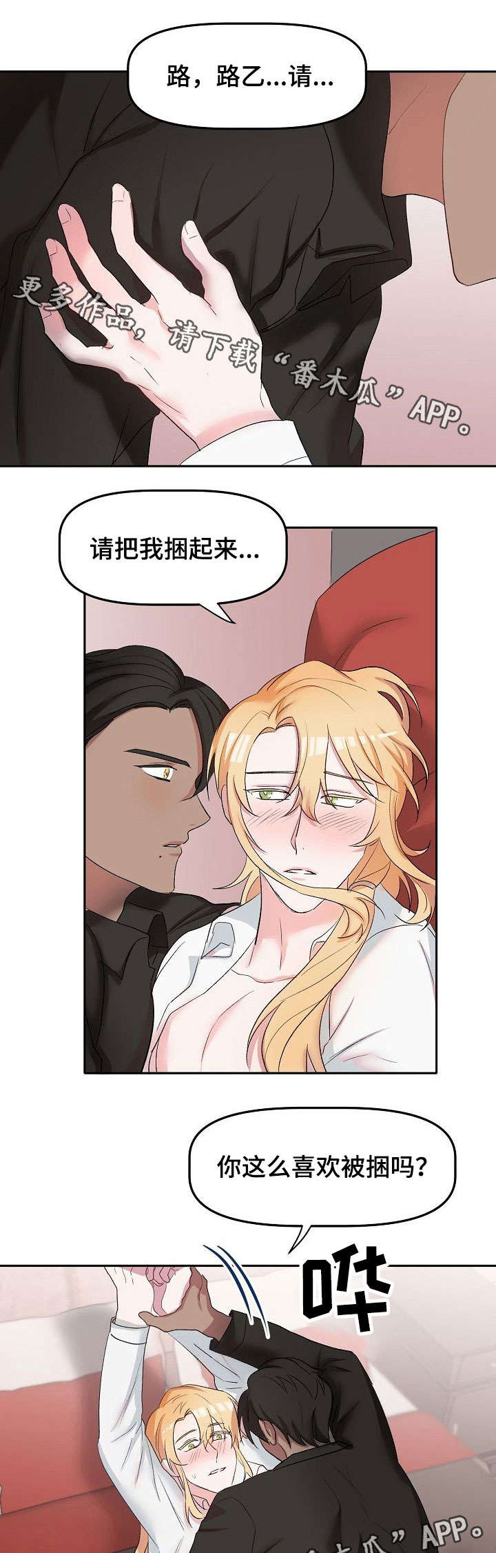 5.jpg