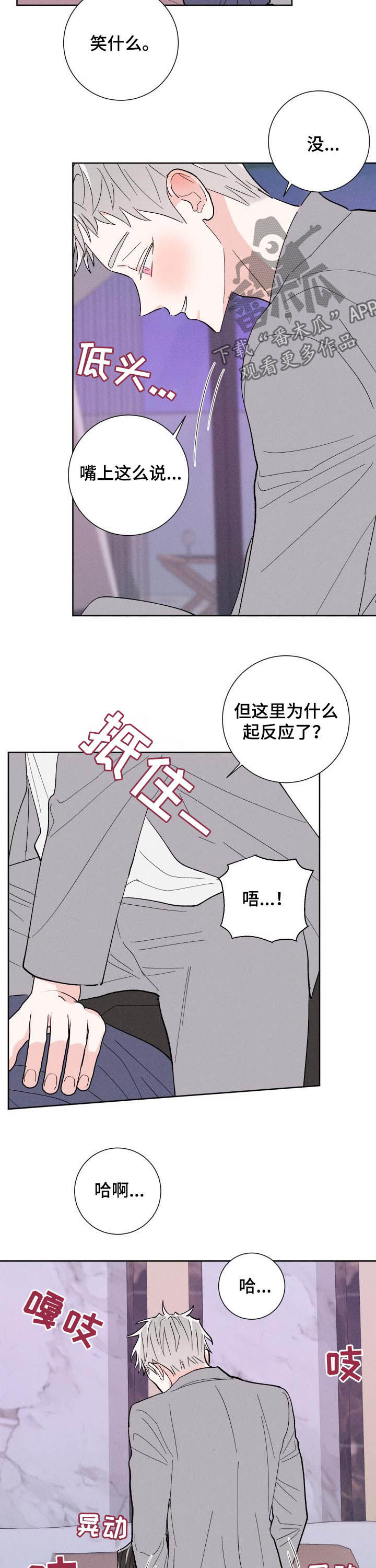 4.jpg