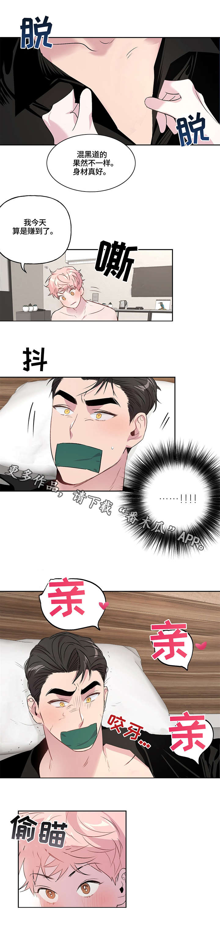 2.jpg