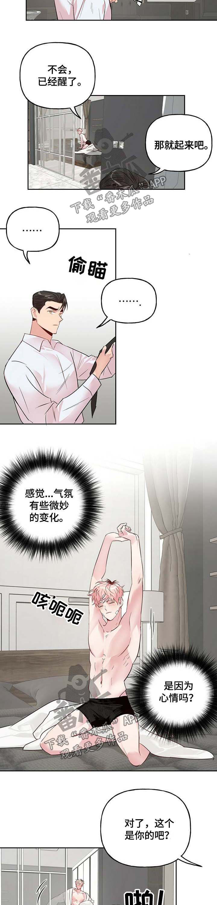 12.jpg