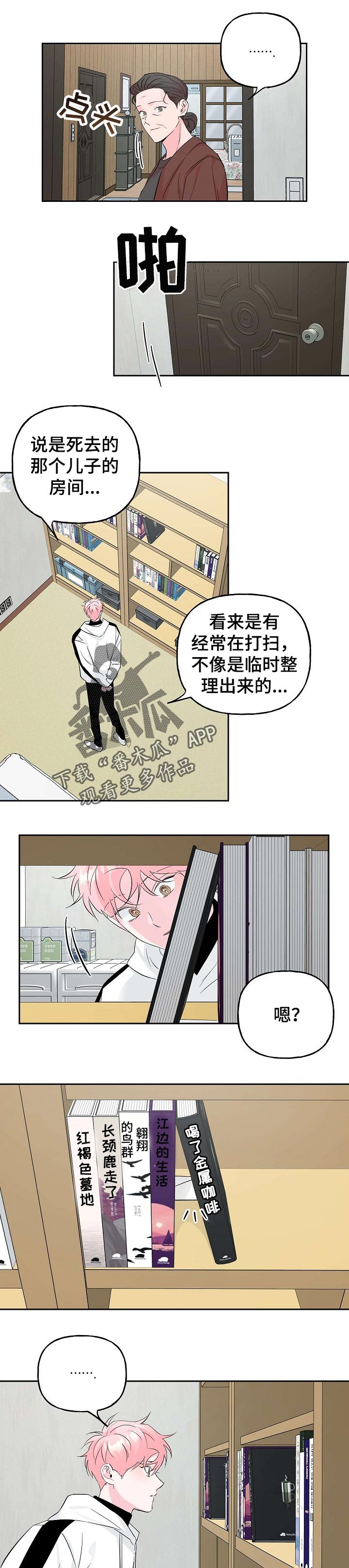 5.jpg