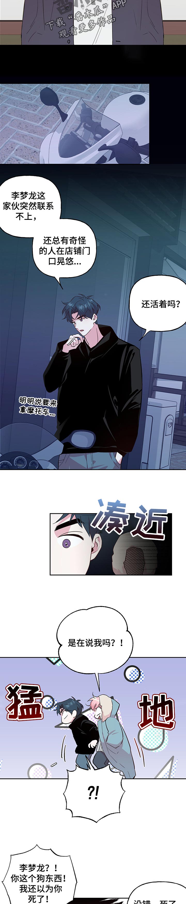 6.jpg