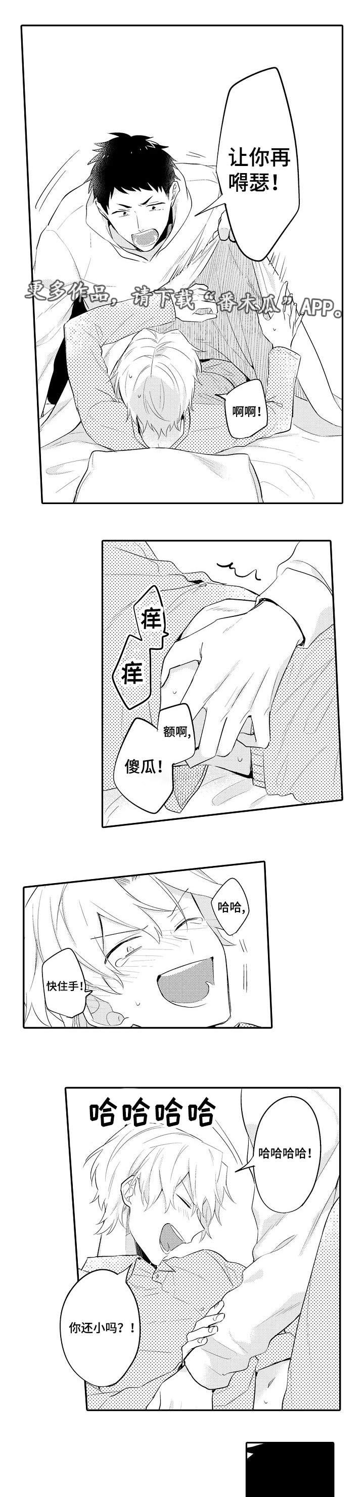 5.jpg