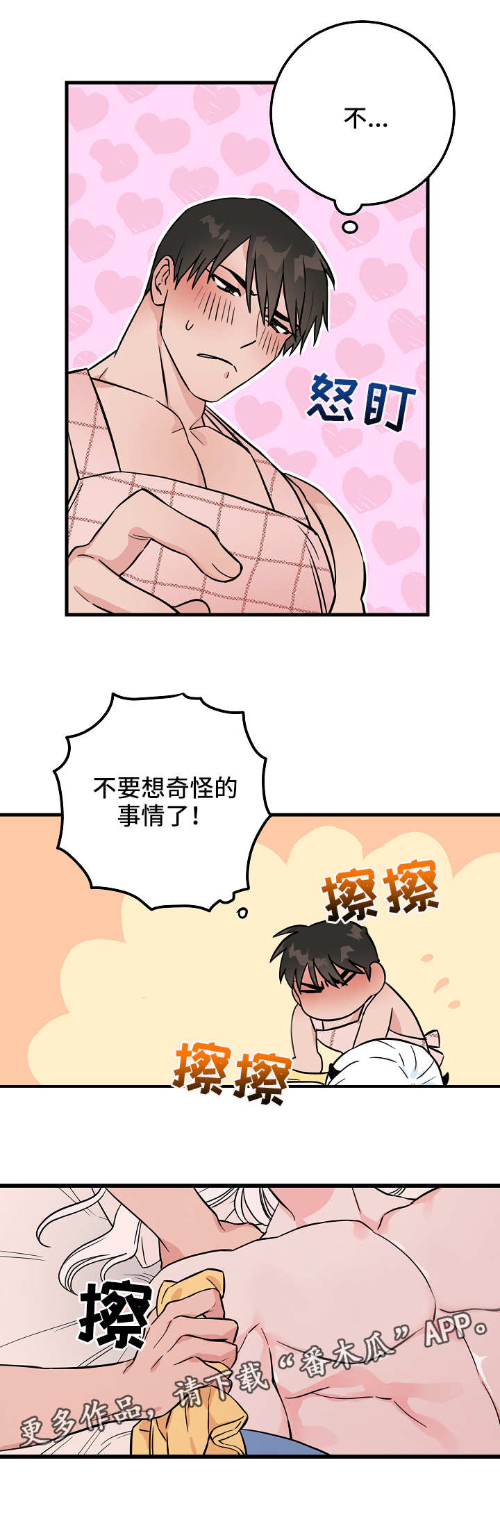 5.jpg