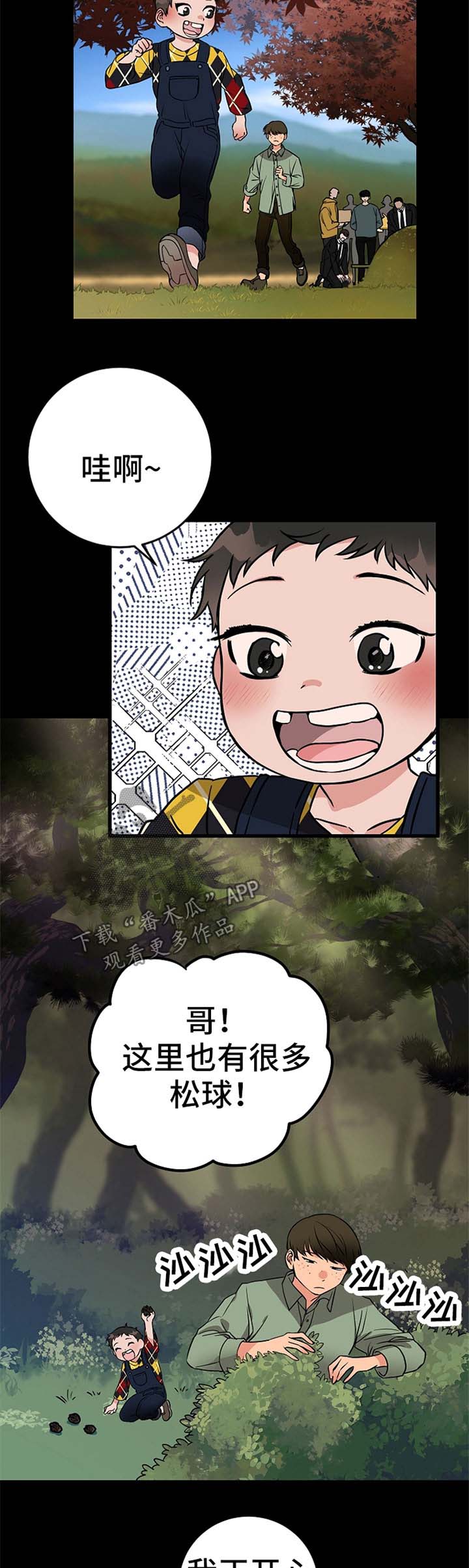 8.jpg