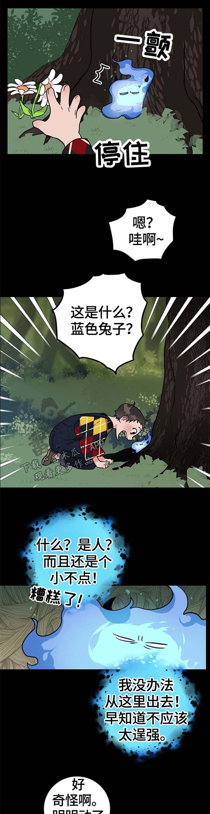 3.jpg