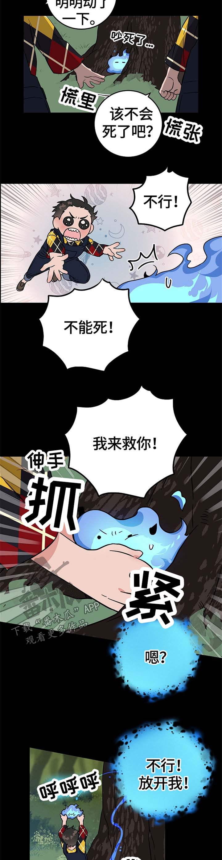 4.jpg