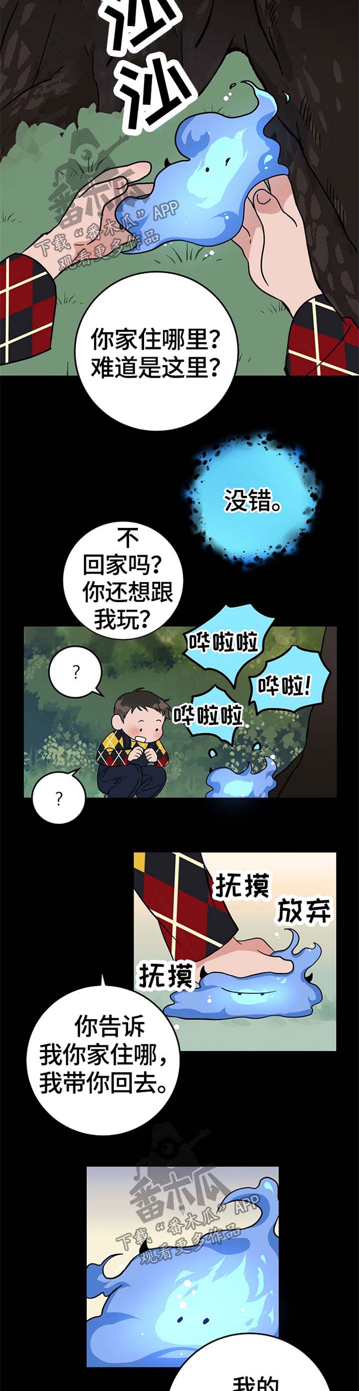 6.jpg