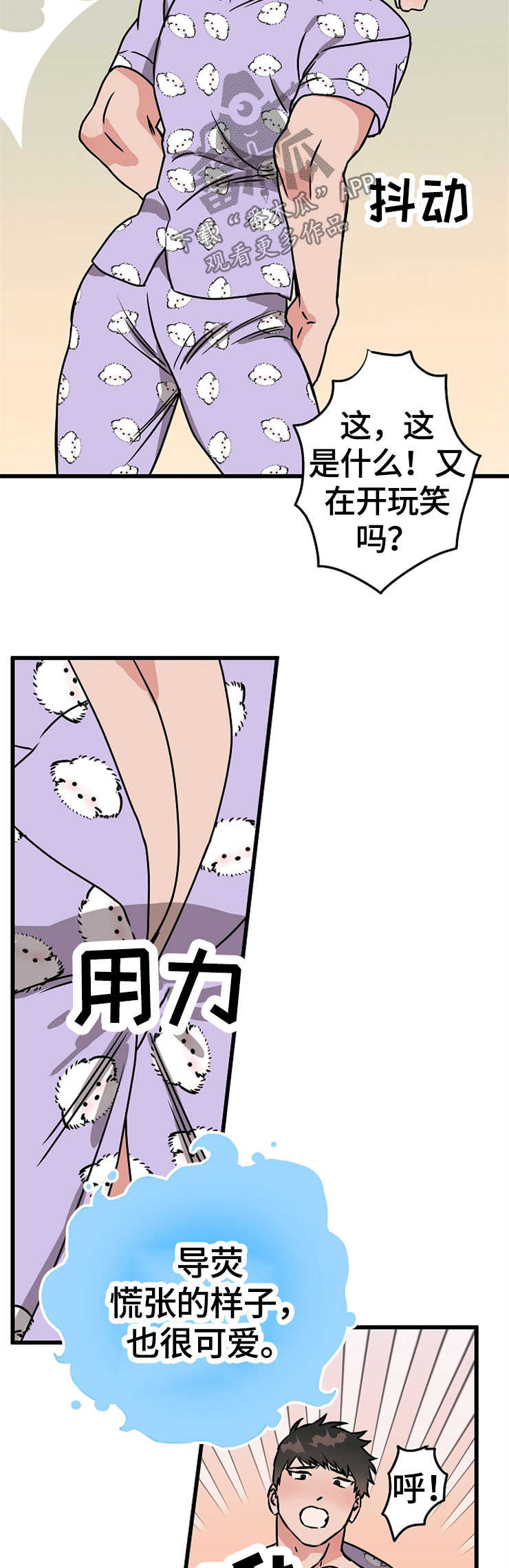 5.jpg