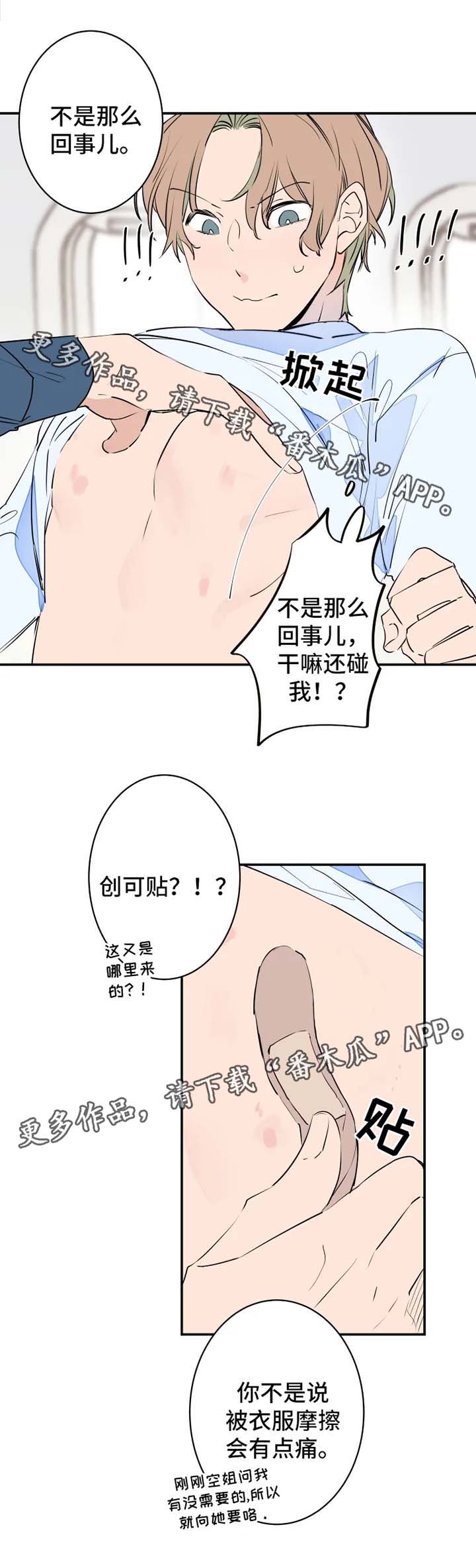 6.jpg