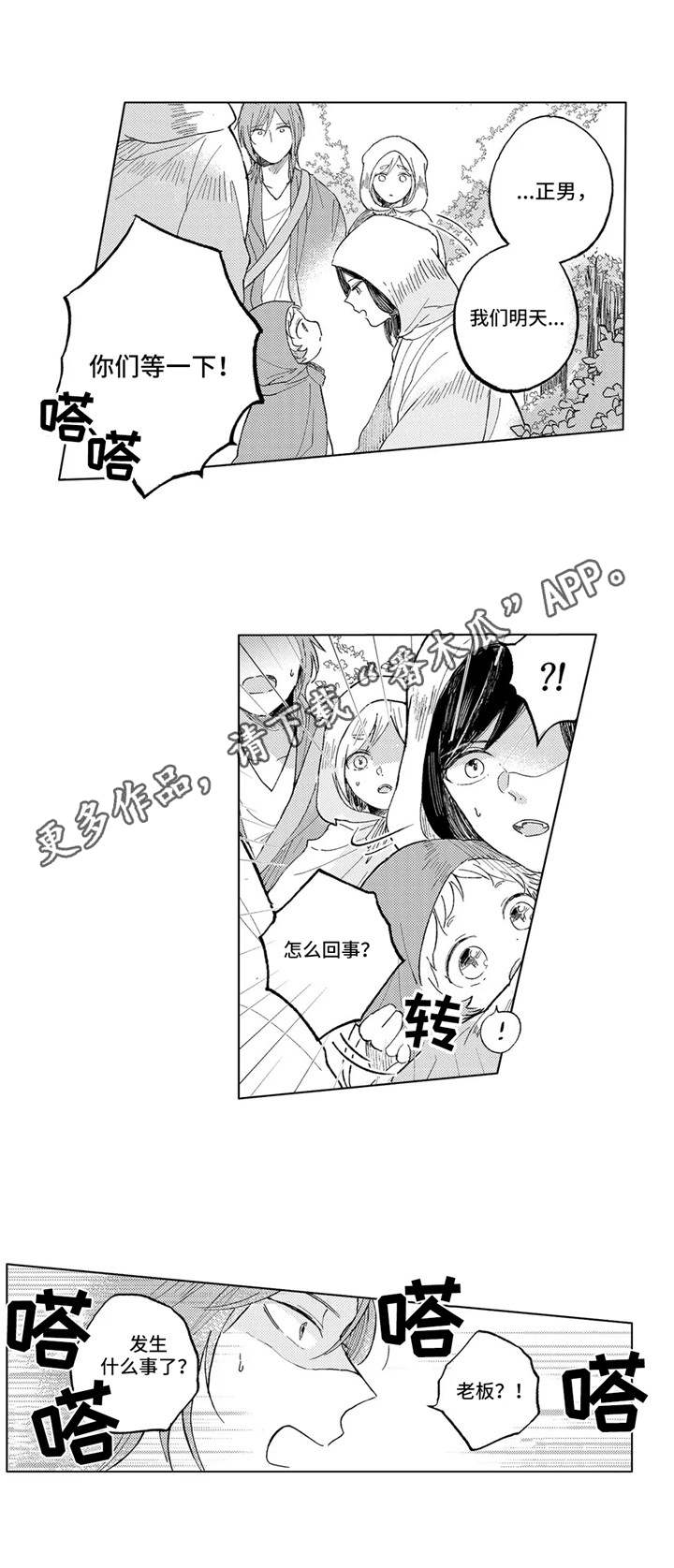 5.jpg