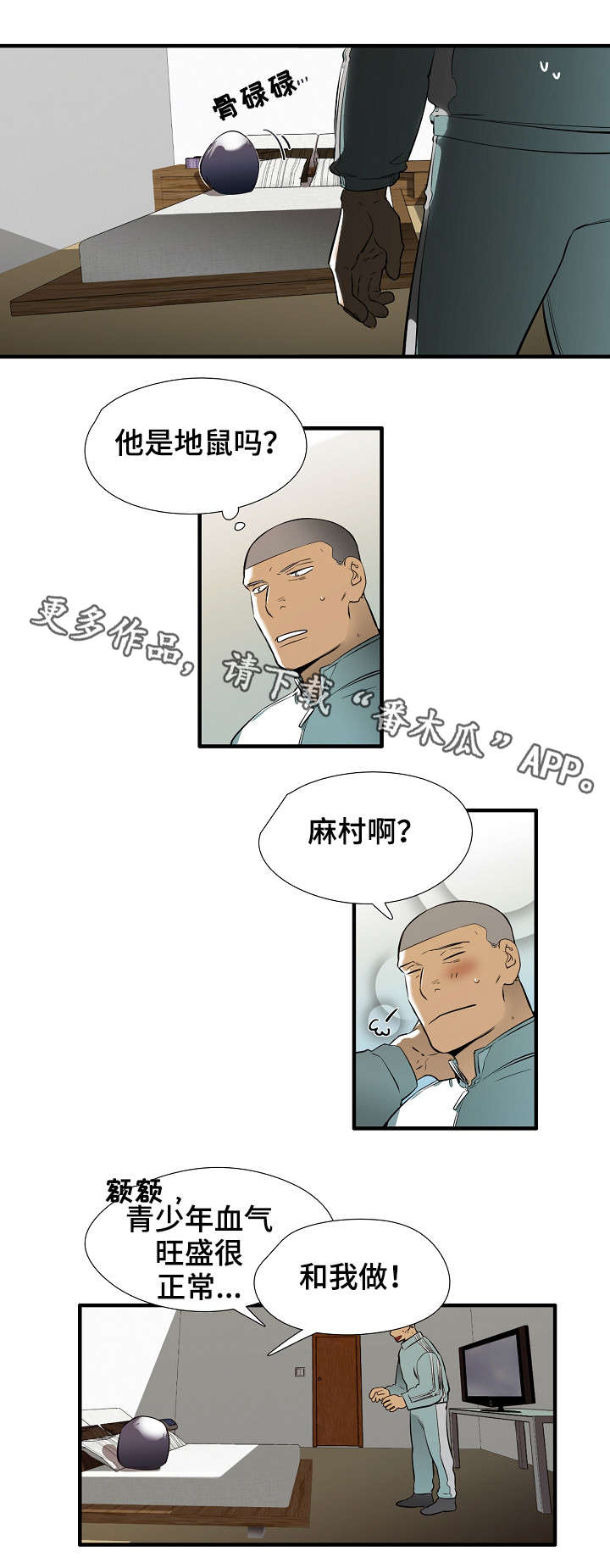 7.jpg