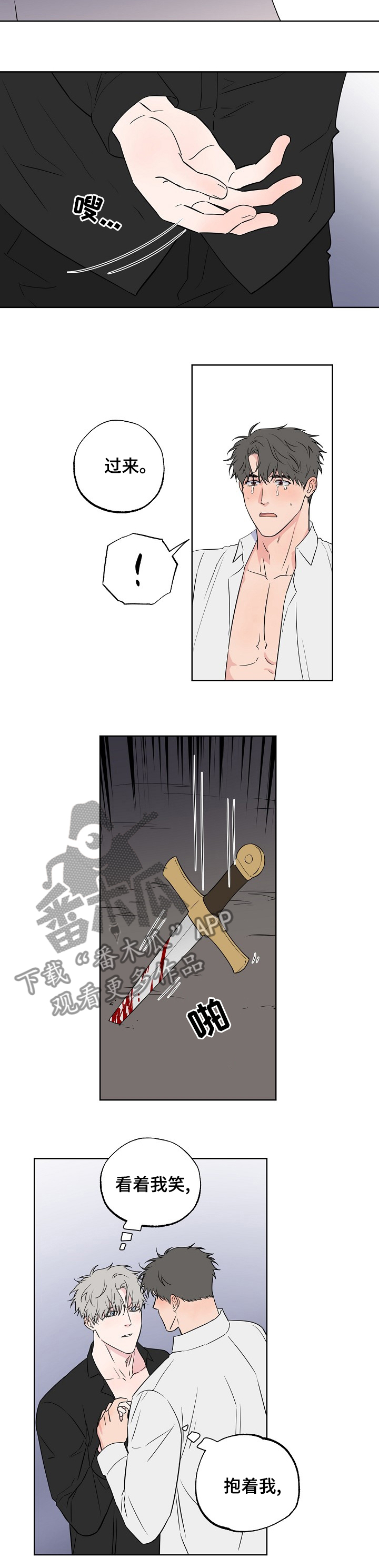5.jpg