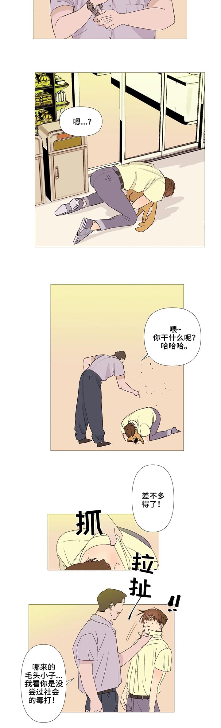 11.jpg