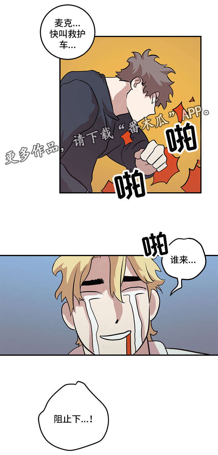 11.jpg