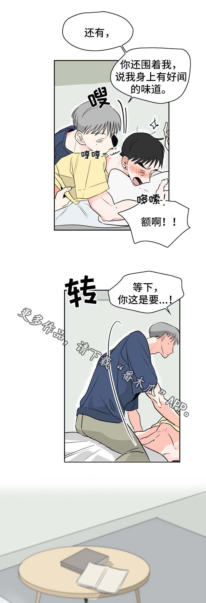 11.jpg