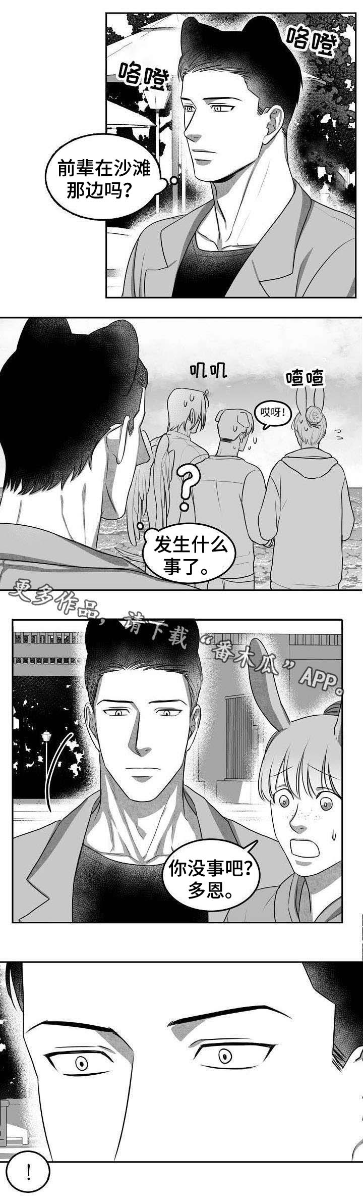 5.jpg