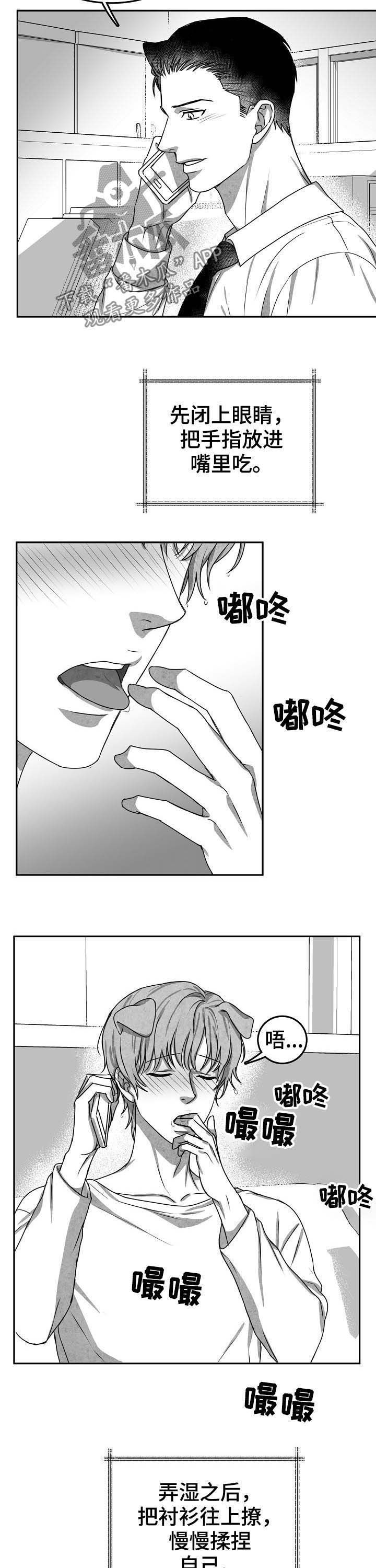8.jpg