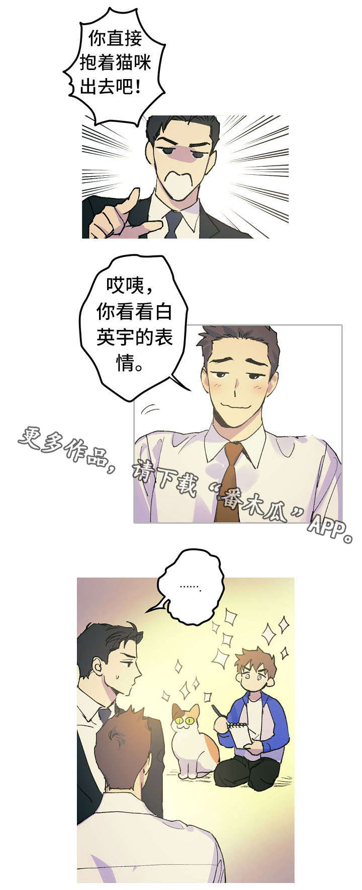 11.jpg