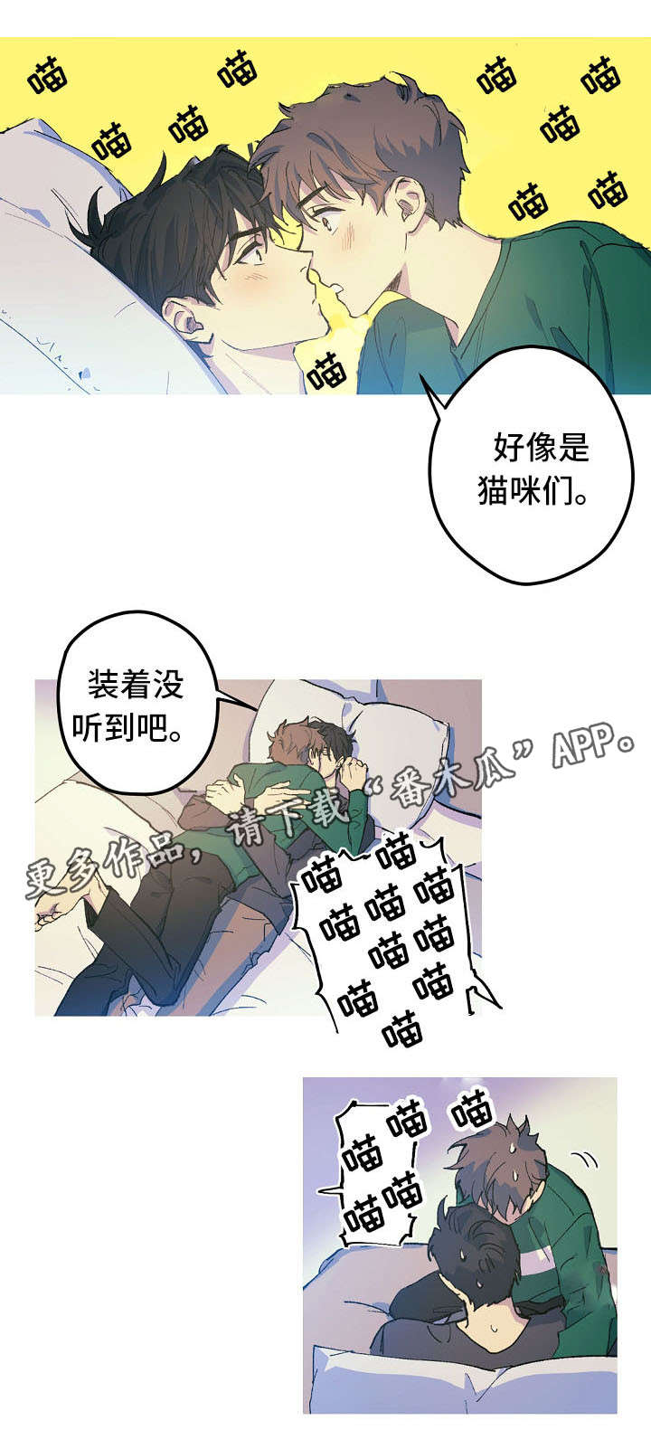 8.jpg